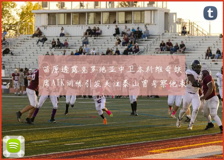 苗原透露克罗地亚中卫本科维奇缺席AIK训练引发关注泰山曾考察他表现